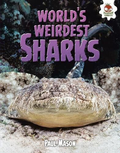 Cover image for World's Weirdest Sharks