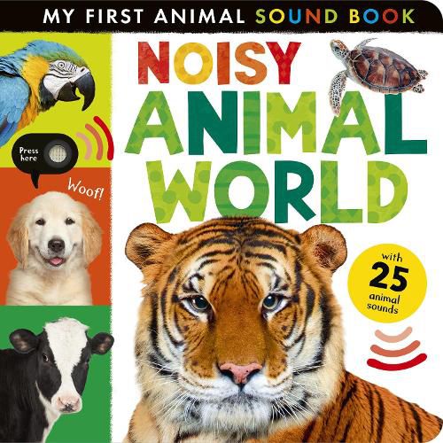 Cover image for Noisy Animal World