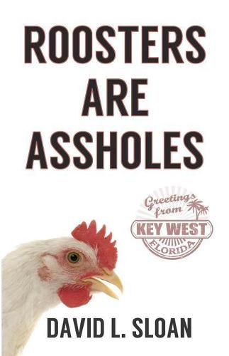 Cover image for Roosters Are Assholes