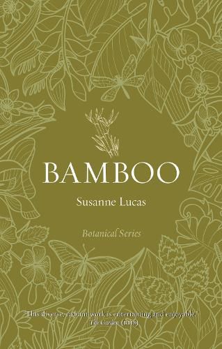 Bamboo