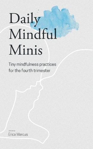 Cover image for Daily Mindful Minis