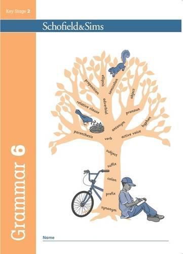 Cover image for Grammar 6