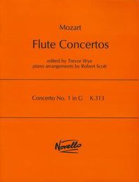 Cover image for Concerto No.1 In G K.313