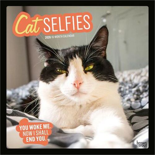 Cover image for Cat Selfies 2026 Square	Wall Calendar
