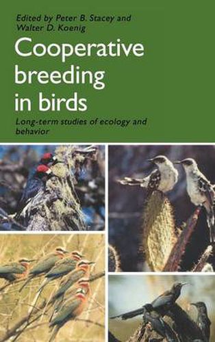 Cover image for Cooperative Breeding in Birds: Long Term Studies of Ecology and Behaviour