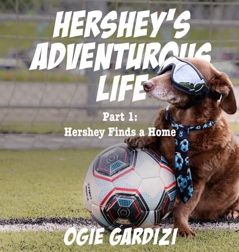 Cover image for Hershey's Adventurous Life: Part 1: Hershey Finds a Home