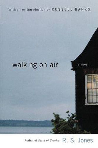 Cover image for Walking on Air