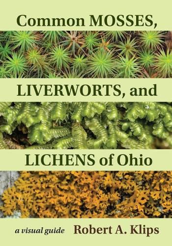 Cover image for Common Mosses, Liverworts, and Lichens of Ohio: A Visual Guide