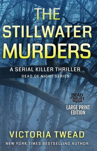 Cover image for The Stillwater Murders (LARGE PRINT)