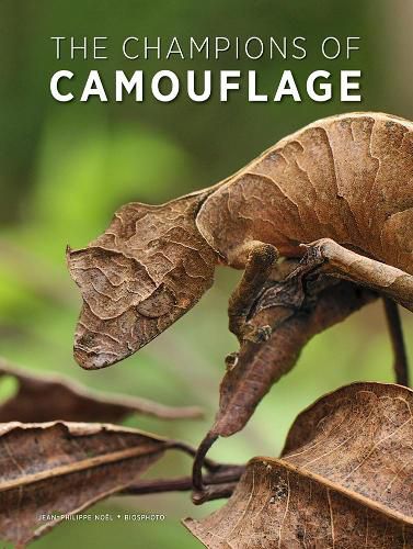 Cover image for The Champions of Camouflage