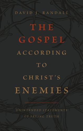 Cover image for The Gospel According to Christ's Enemies
