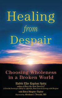 Cover image for Healing from Despair: Choosing Wholeness in a Broken World