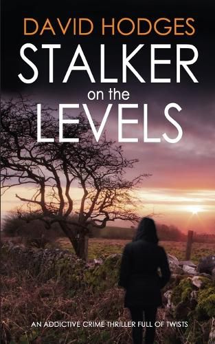 Cover image for STALKER ON THE LEVELS an addictive crime thriller full of twists