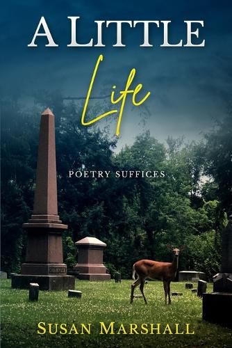 Cover image for A Little Life