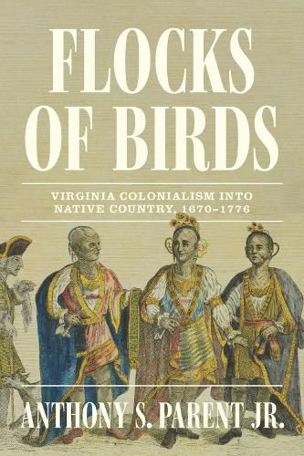 Cover image for Flocks of Birds