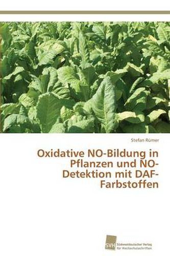 Oxidative NO-Bildung in Pflanzen und NO-Detektion mit DAF-Farbstoffen