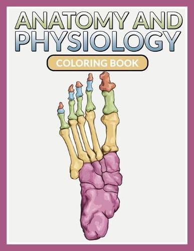 Cover image for Anatomy And Physiology Coloring Book