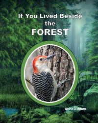 Cover image for If You Lived Beside the Forest