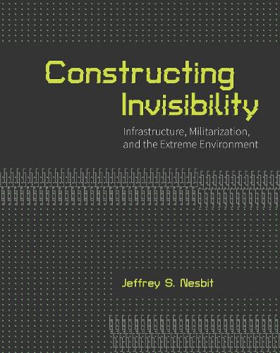 Cover image for Constructing Invisibility
