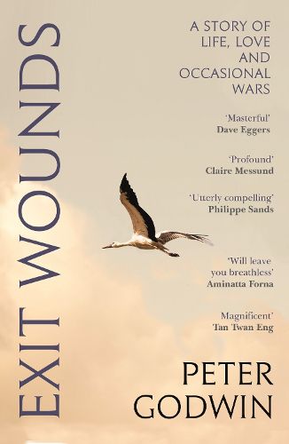 Cover image for Exit Wounds