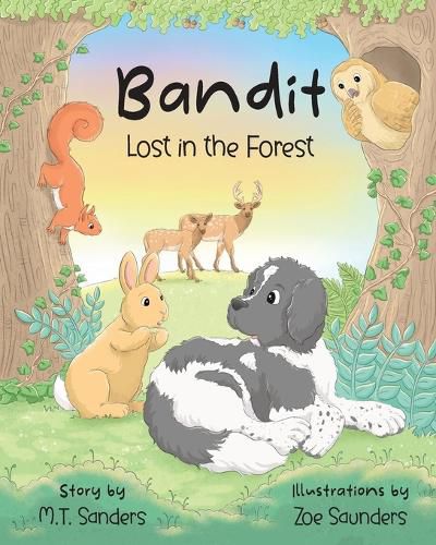 Cover image for Bandit - Lost in the Forest