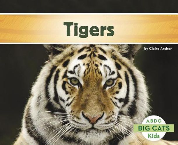 Cover image for Tigers