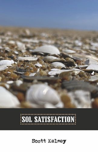 Cover image for Sol Satisfaction