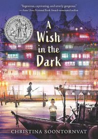 Cover image for A Wish in the Dark