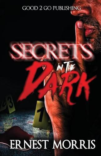 Cover image for Secrets in the Dark