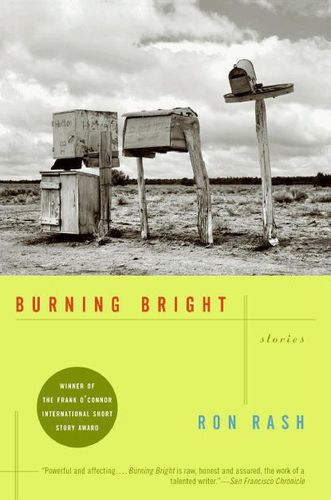 Cover image for Burning Bright: Stories