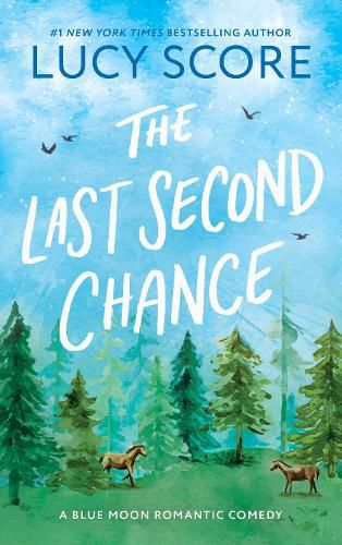 Cover image for The Last Second Chance