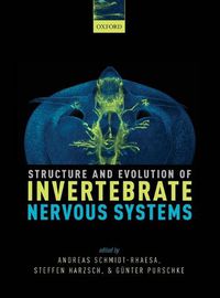 Cover image for Structure and Evolution of Invertebrate Nervous Systems