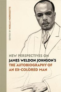 Cover image for New Perspectives on James Weldon Johnson's The Autobiography of an Ex-Colored Man