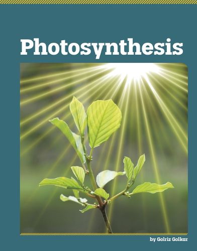 Cover image for Photosynthesis