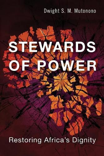 Cover image for Stewards of Power: Restoring African Dignity by Maximizing Resources