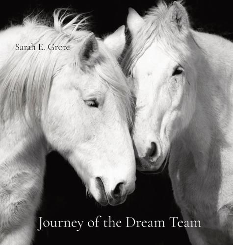 Cover image for Journey of the Dream Team