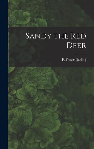 Cover image for Sandy the Red Deer