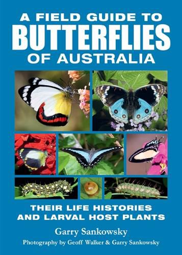 Field Guide to Butterflies of Australia: A Comprehensive Guide Featuring Over 350 Species