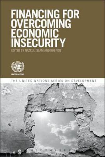Cover image for Development Financing and Economic Insecurity