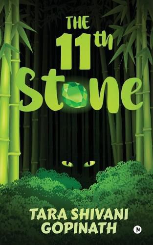 Cover image for The 11th Stone