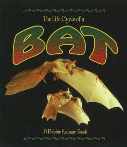 Cover image for The Life Cycle of the Bat