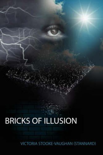 Cover image for Bricks of Illusion