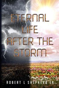 Cover image for Eternal Life After The Storm: A Book of a Christian's Journey from Birth to Eternal Life