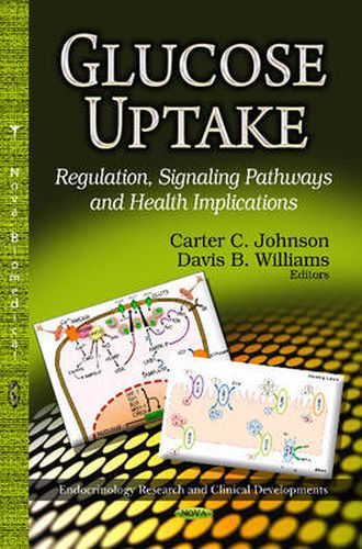 Glucose Uptake: Regulation, Signaling Pathways & Health Implications