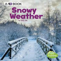 Cover image for Snowy Weather: A 4D Book