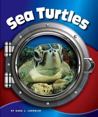 Cover image for Sea Turtles