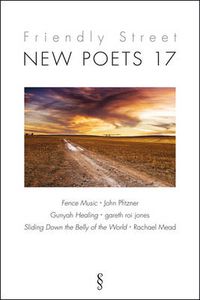 Cover image for Friendly Street New Poets 17