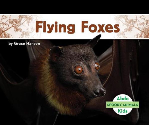 Cover image for Flying Foxes