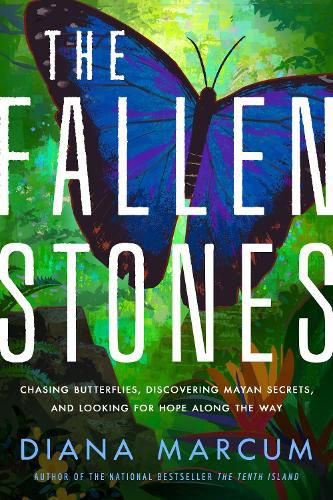 Cover image for The Fallen Stones: Chasing Butterflies, Discovering Mayan Secrets, and Looking for Hope Along the Way