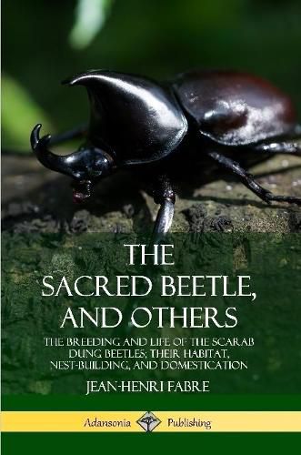 Cover image for The Sacred Beetle, and Others: The Breeding and Life of the Scarab Dung Beetles; their Habitat, Nest-Building, and Domestication